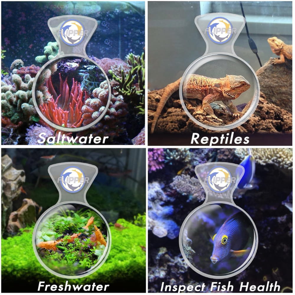 flipper lupa 1.jpg